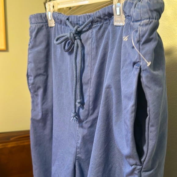 Comfy meets Chic | Free People Joggers in the perfect blue - Picture 4 of 10